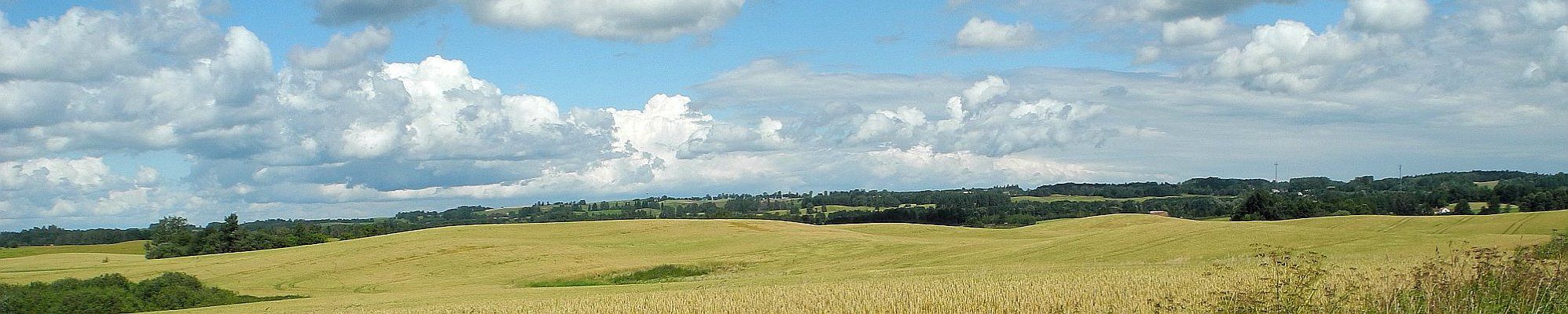 Bei Loyen im Kreis Goldap